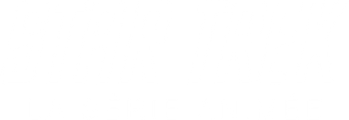 Star Trek : La Série animée