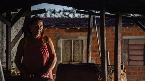 O Nordeste sob a Caravana Farkas