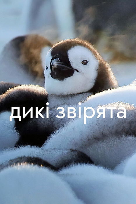 Escena 5 de Pequeños salvajes