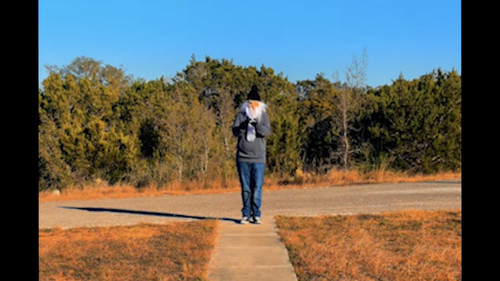 BIRDS ARE DRONES AND THEY CHARGE ON POWERLINES