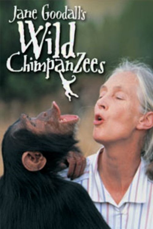 Jane Goodall's Wild Chimpanzees movie poster player
