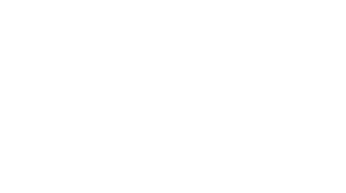 Love Forecast