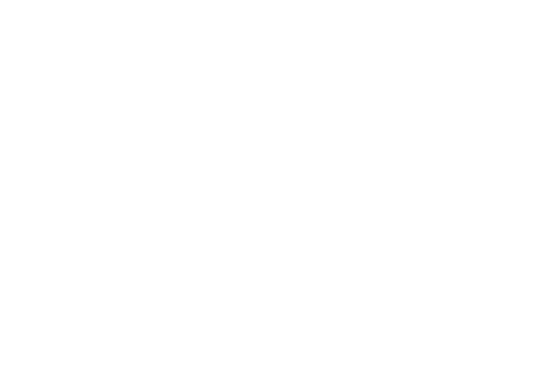 Simple Minds: Everything Is Possible