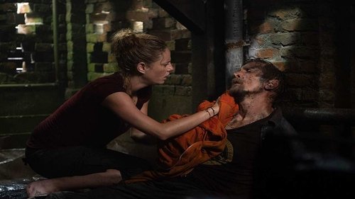 Crawl 2019 Full Movie Subtitle Indonesia