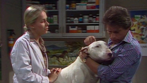 Folge 18