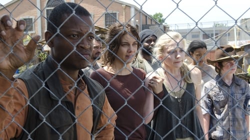 The Walking Dead: 4×8