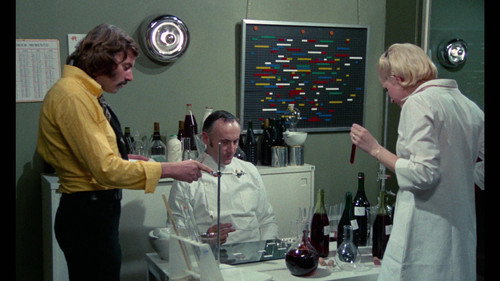 Everybody He Is Nice, Everybody He Is Beautiful