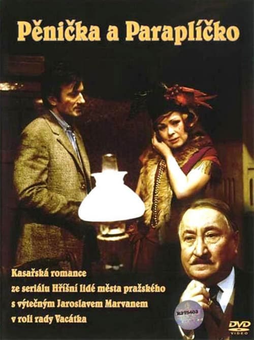 Burglar and Umbrella Movie Poster Image