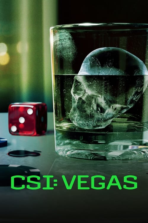 CSI: Vegas - Saison 3