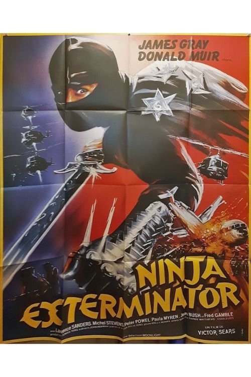 Ninja Exterminator Poster