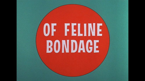 Of Feline Bondage