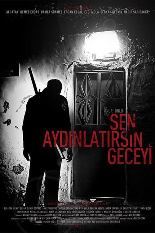 Sen Aydınlatırsın Geceyi 2013