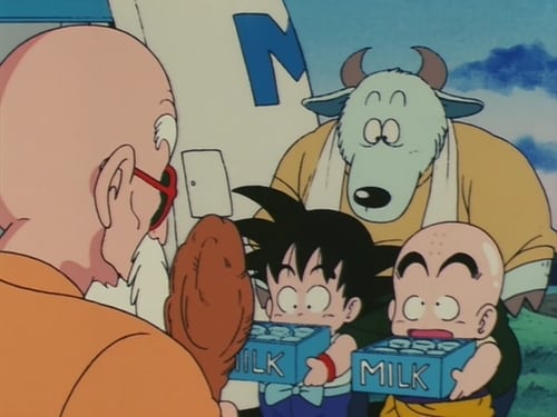 Dragon Ball: 1×17