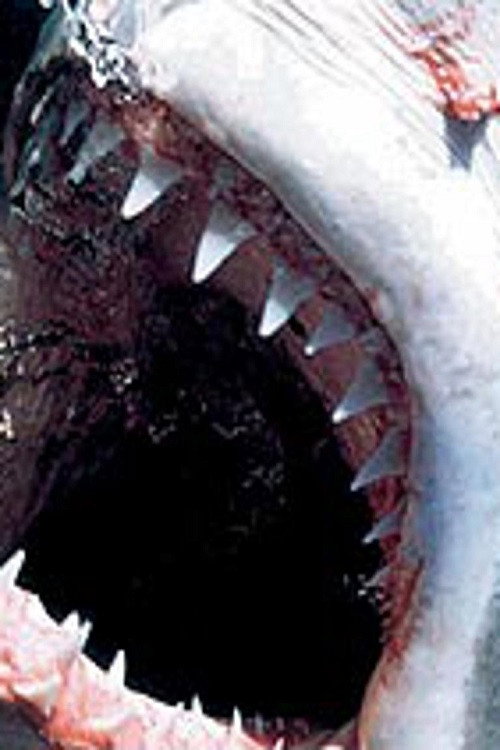 Killer Instincts: Jaws