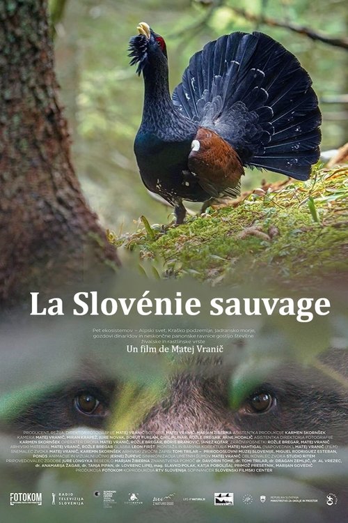 La Slovénie sauvage