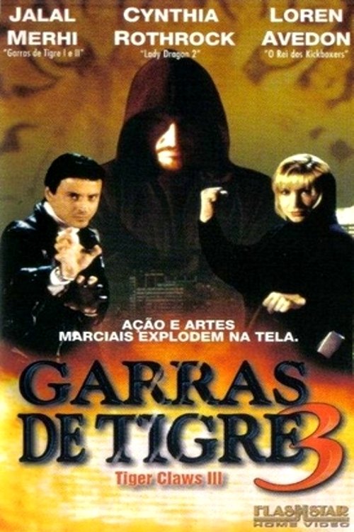 Tiger Claws III: The Final Conflict movie poster player