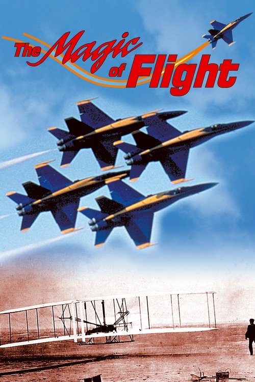 The Magic of Flight movie poster player