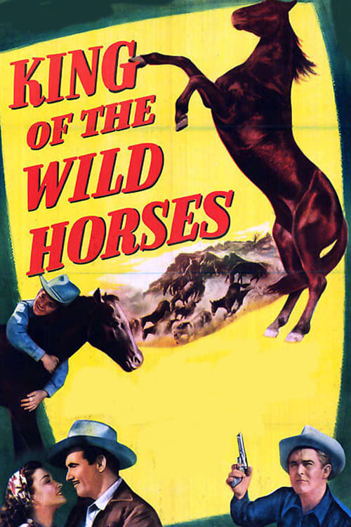 King of the Wild Horses Movie Poster Image