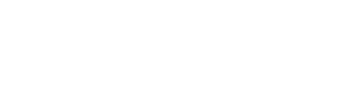 Pokémon: Twilight Wings