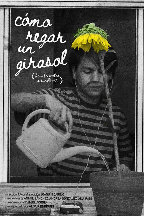 Póster oficial de How to Water a Sunflower (2019) - Fantasy