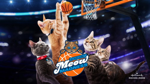 Meow Madness