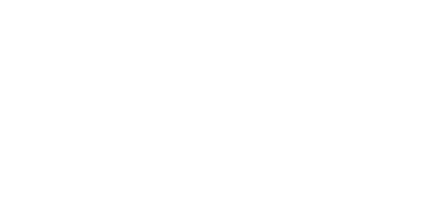 Stella. A Life.