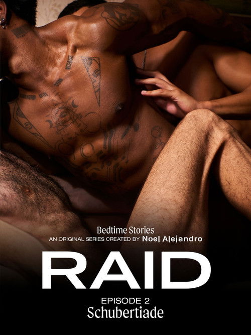 Bedtime Stories: RAID 2 - Schubertiade Poster