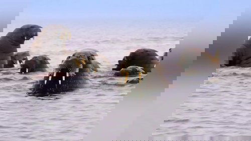 Image de l'épisode 4
