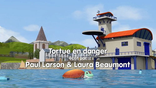 Image Tortue en danger