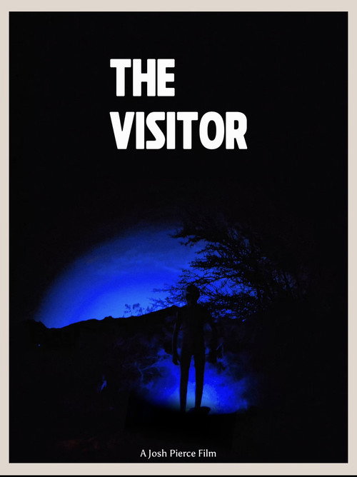 The Visitor official trailer poster