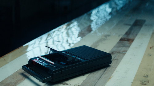 The Abnormal Beauty Company