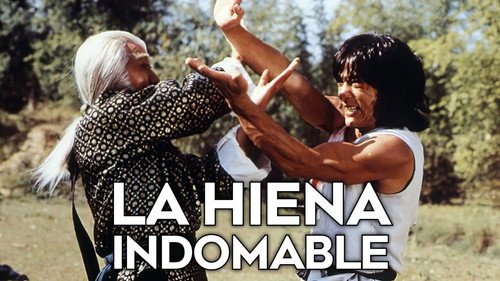Hiena salvaje — Fondos 20