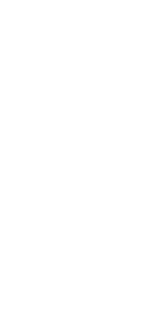 Man from Reno