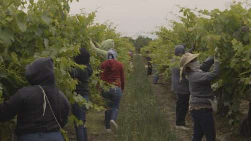 How to Breathe in Kern County