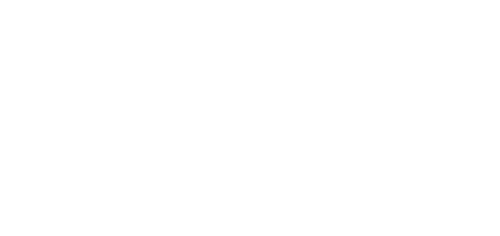 The Perfect Wedding Match