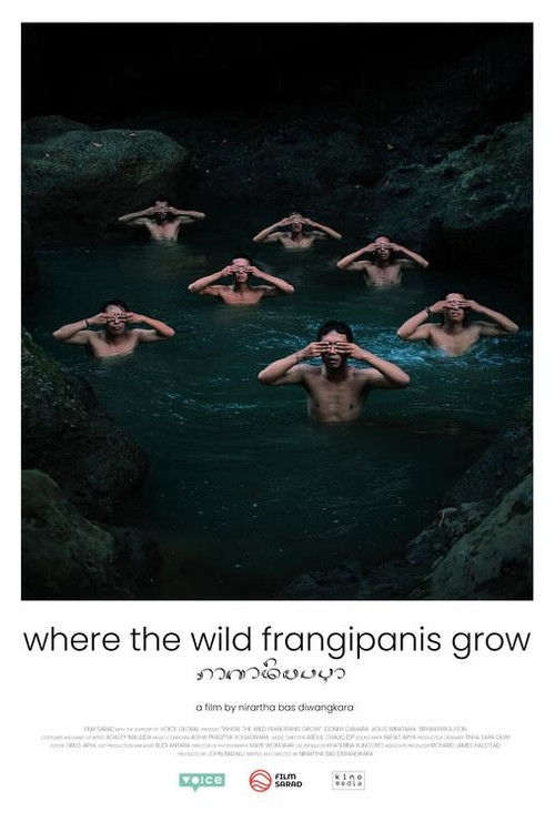 Where the Wild Frangipanis Grow poster