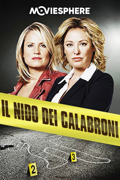 Il nido dei calabroni
