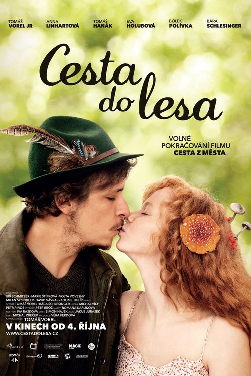 Cesta do lesa movie poster player