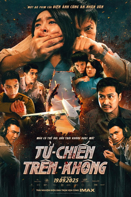 Hijacked poster