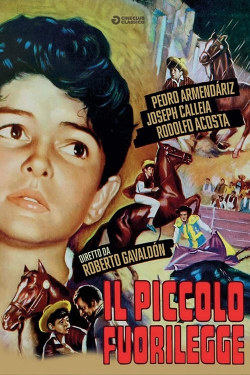 Il piccolo fuorilegge