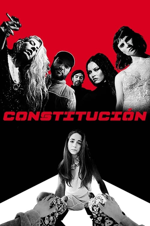 Poster Constitución 2016