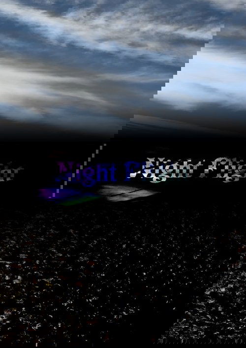 Night Flight