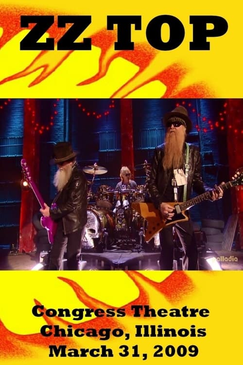 ZZ Top: VH1 Storytellers Movie Poster Image