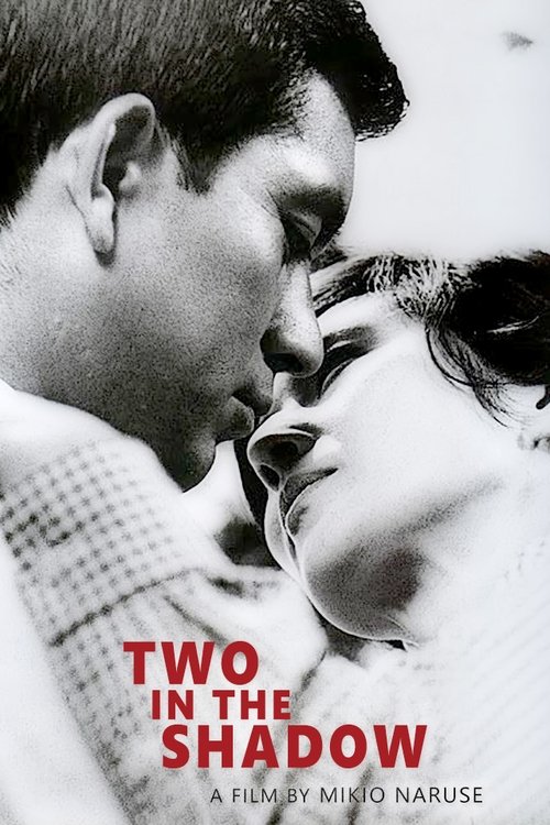 Two in the Shadow poster
