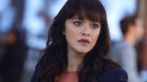 Blue Bloods – Sangue Azul: 9×6