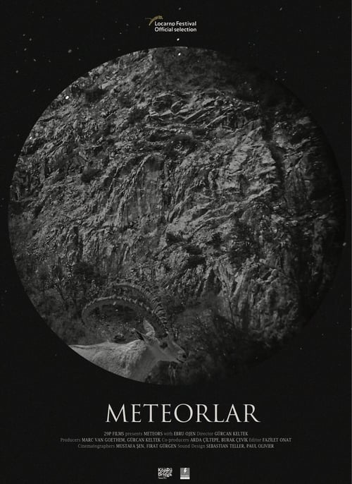 Meteors 2017