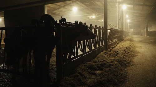 La contea nella nebbia Backdrop Blur