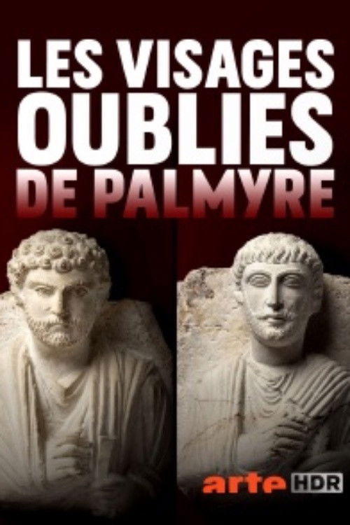 The 1001 Faces of Palmyra poster