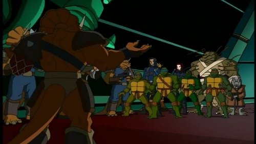 Poster della serie Teenage Mutant Ninja Turtles