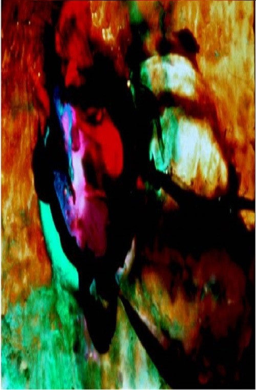 The Lion and the Zebra Make God's Raw Jewels still 1